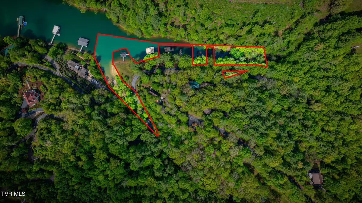Tbd Cove Ridge Road, Butler, TN 37640 - #1