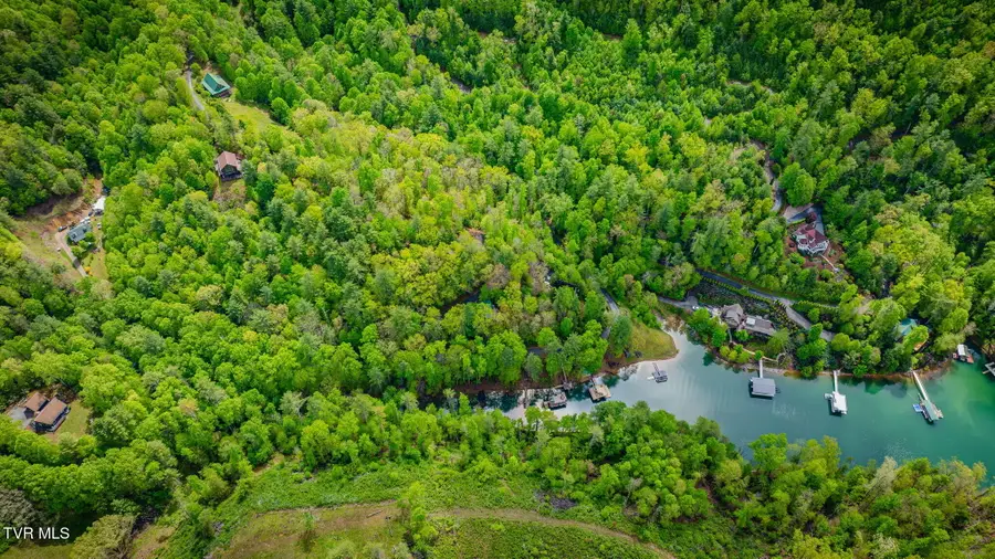 Tbd Cove Ridge Road, Butler, TN 37640 - #3