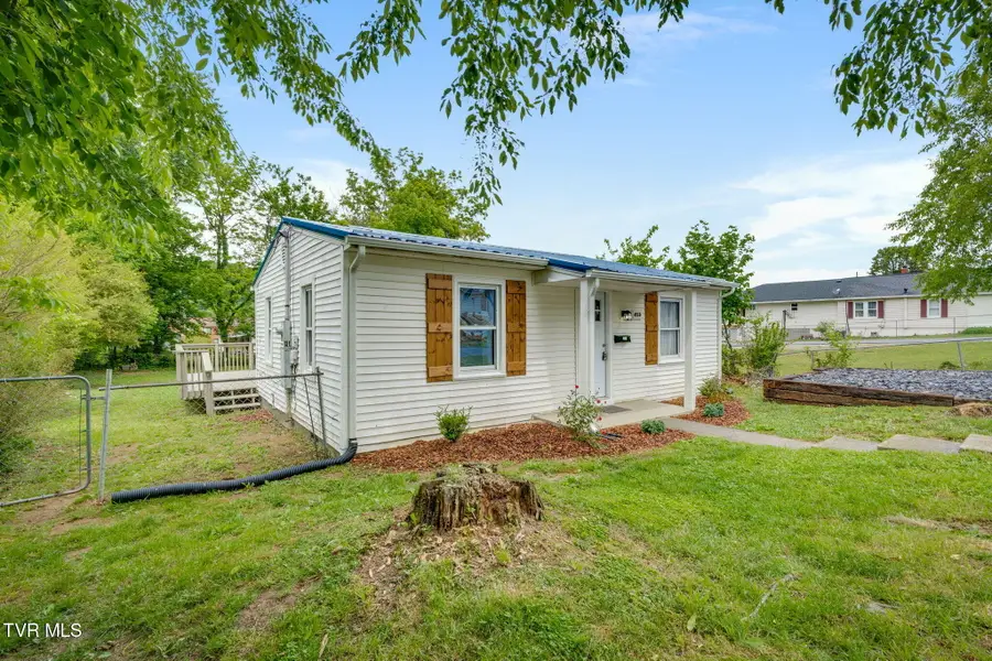 413 Colorado Street, Johnson City, TN 37601 - #2