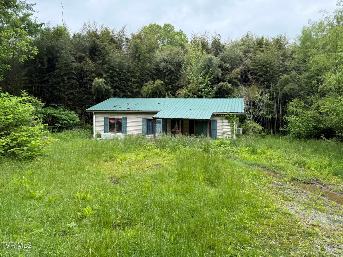 721 Taggart Avenue, Big Stone Gap, VA 24219 - #1