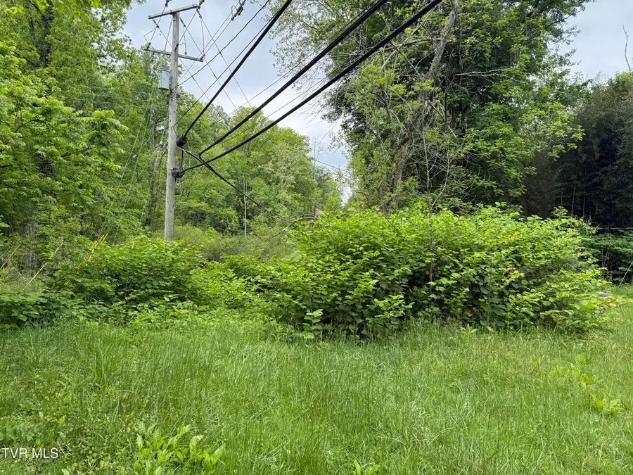 721 Taggart Avenue, Big Stone Gap, VA 24219 - #2