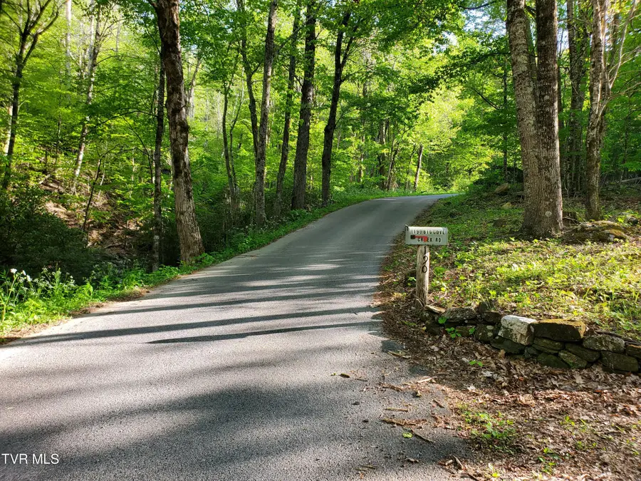 190 Big Cove Creek Road, Roan Mountain, TN 37687 - #2