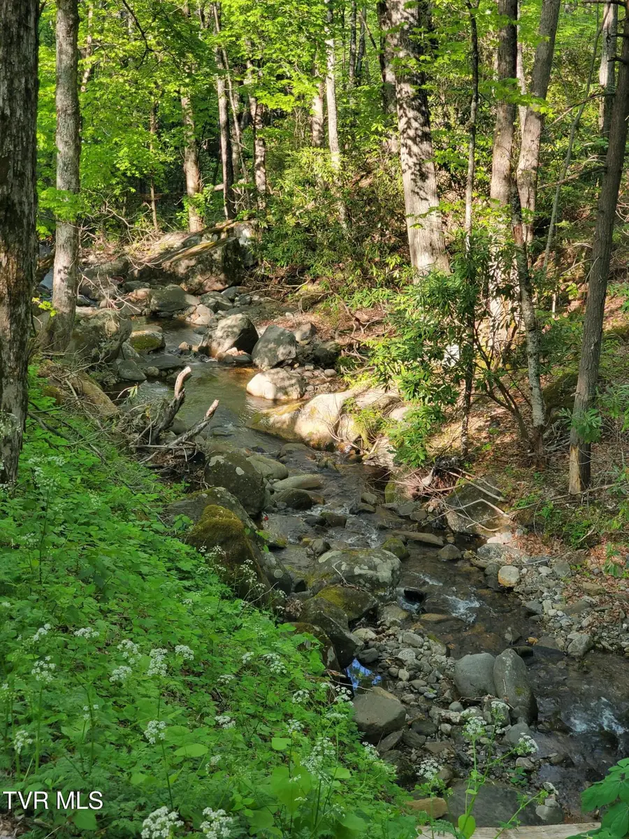 190 Big Cove Creek Road, Roan Mountain, TN 37687 - #3