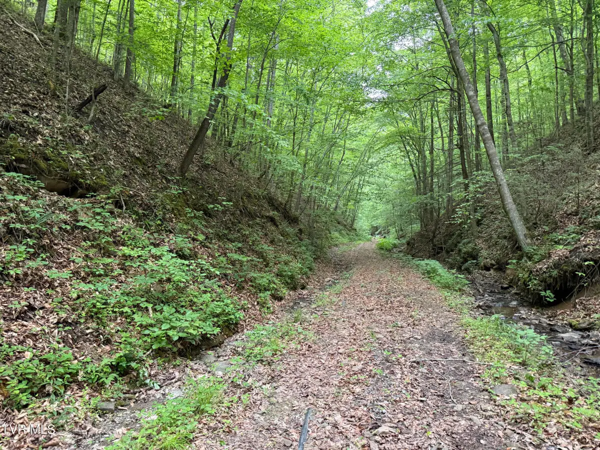 Tbd North Highway 66, Rogersville, TN 37857 - #1