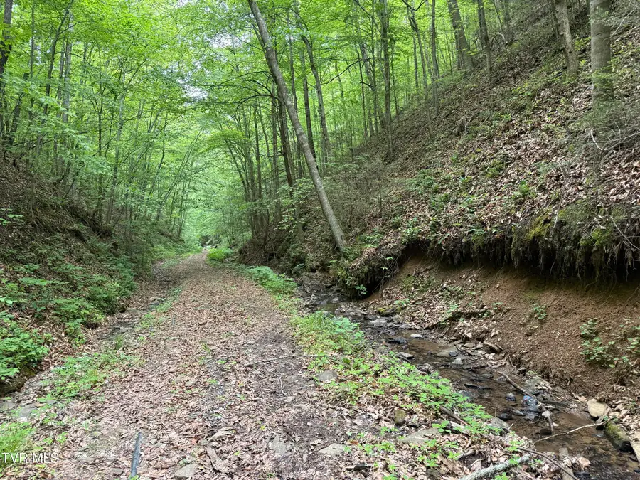 Tbd North Highway 66, Rogersville, TN 37857 - #2