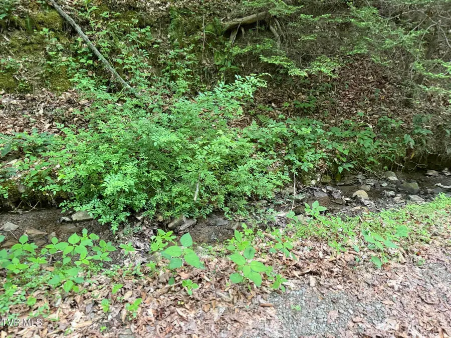 Tbd North Highway 66, Rogersville, TN 37857 - #3
