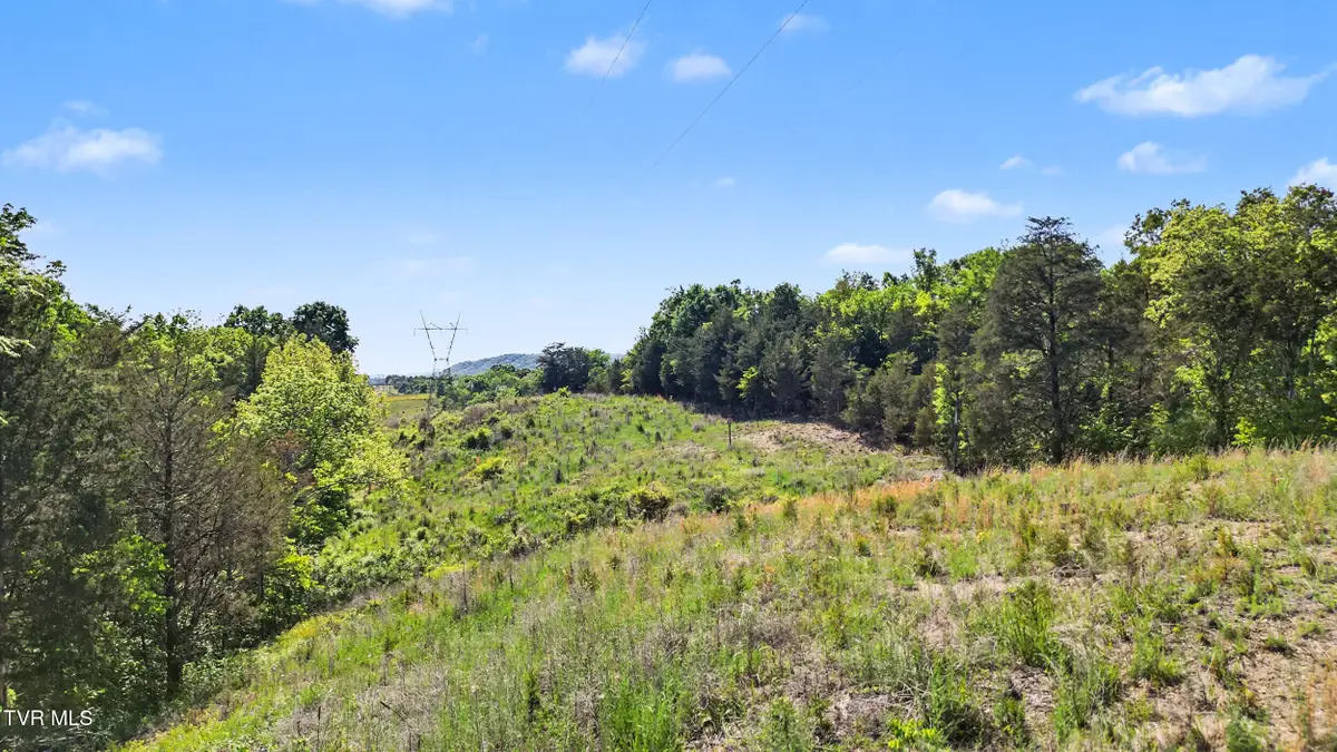 7.5acres Oak Hills Road, Mosheim, TN 37818 - #1