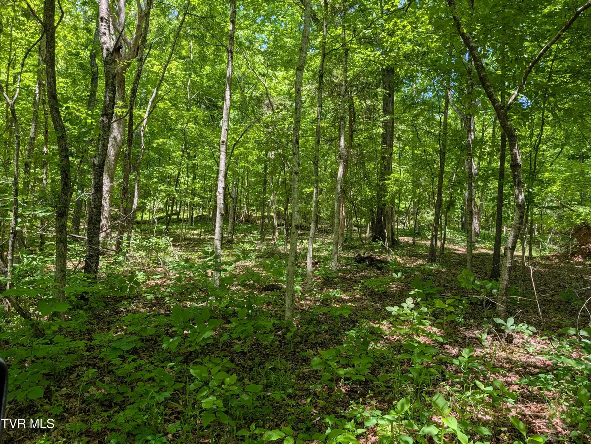 Tbd Carters Valley Loop #064 096.01, Rogersville, TN 37857 - #1