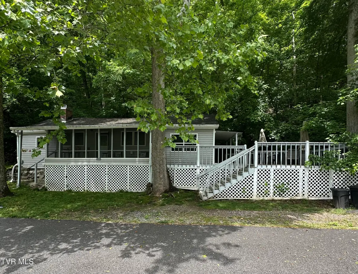 209 Robin Hood Lane, Gate City, VA 24251 - #1