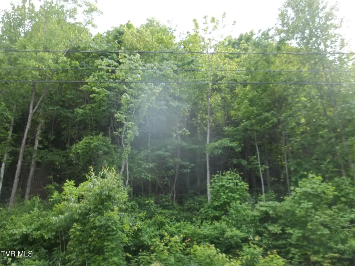 437 Creekside Drive, Mount Carmel, TN 37645 - #1