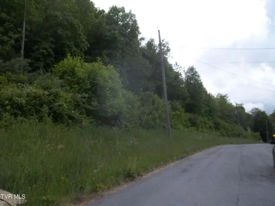 441 Creekside Drive, Mount Carmel, TN 37645 - #3