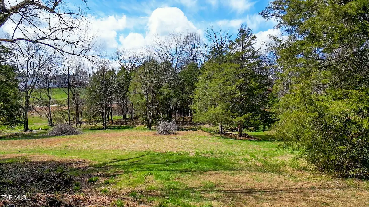 Tbd Stone Dam Road #2, Chuckey, TN 37641 - #1