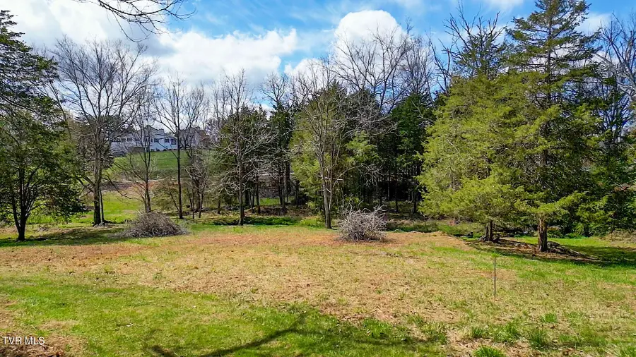 Tbd Stone Dam Road #2, Chuckey, TN 37641 - #3