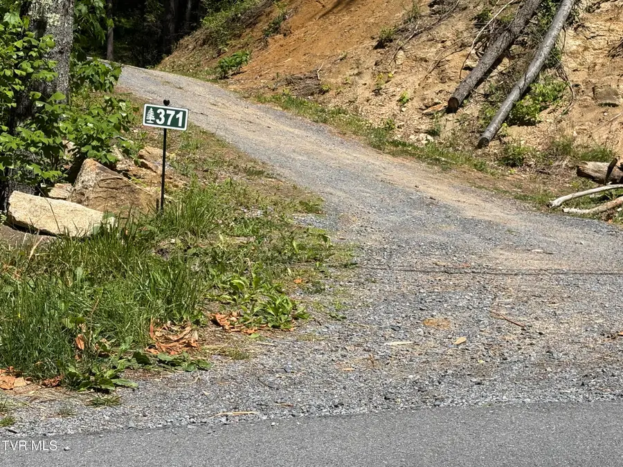 371 Buck Mountain Road, Roan Mountain, TN 37687 - #3