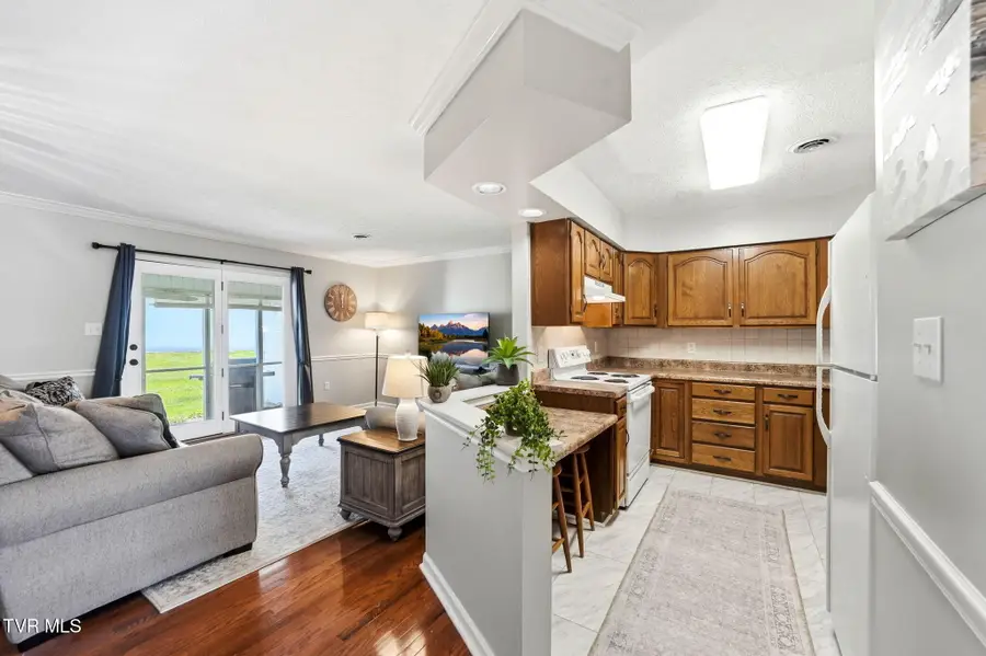 505 Hickory Road, Bristol, TN 37620 - #2