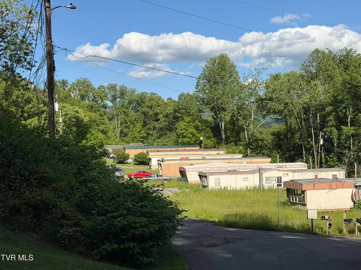 207 Garland Loop, Big Stone Gap, VA 24219 - #1