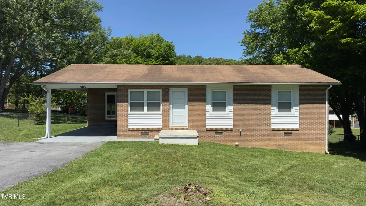 503 Sunnyvale Drive, Johnson City, TN 37601 - #1