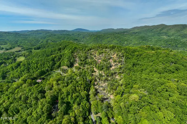 177 Fork Mountain Road, Roan Mountain, TN 37687