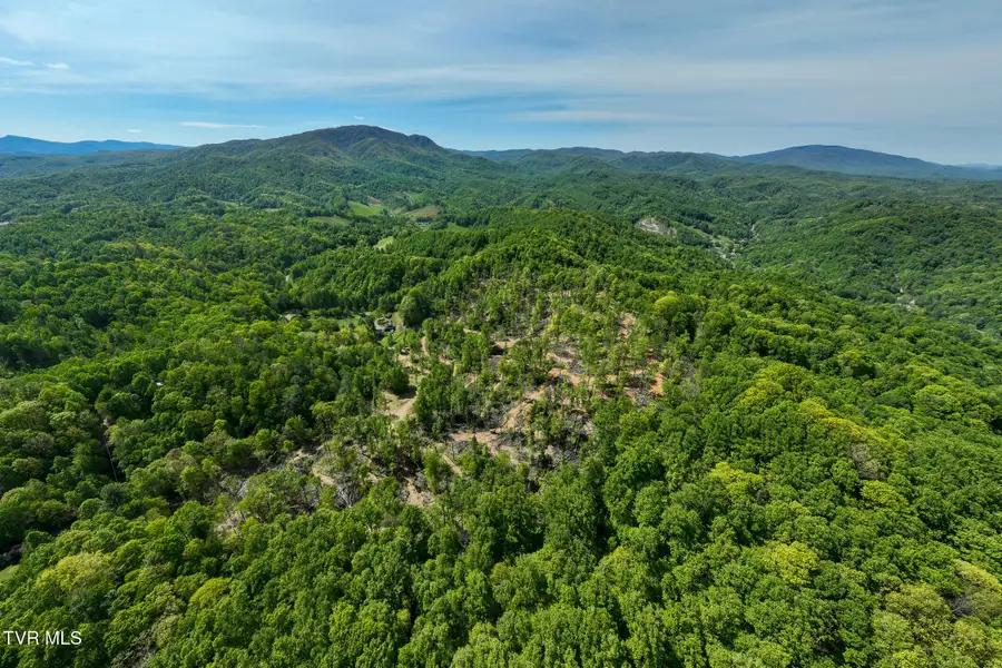 177 Fork Mountain Road, Roan Mountain, TN 37687 - #2