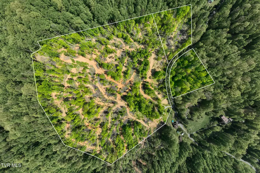 177 Fork Mountain Road, Roan Mountain, TN 37687 - #3