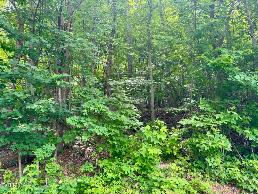 Lot 21 Country Drive, Kingsport, TN 37664 - #3