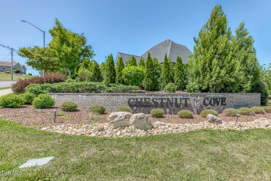 199 Tanners Cove, Johnson City, TN 37615 - #2