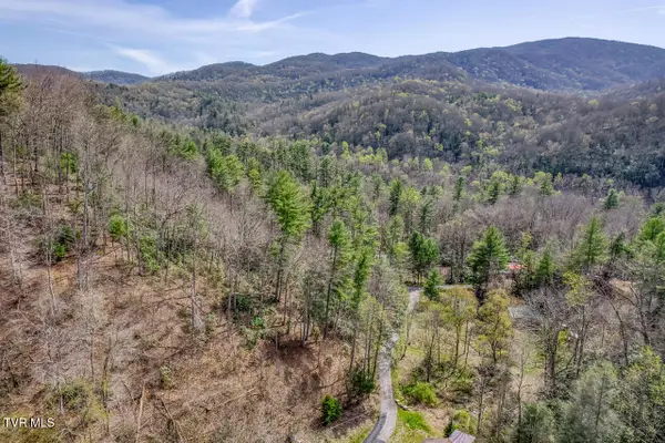 155 Tower Road, Roan Mountain, TN 37687