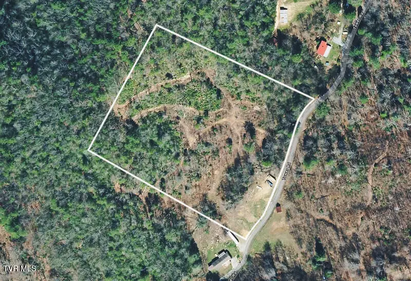 155 Tower Road, Roan Mountain, TN 37687 - #3