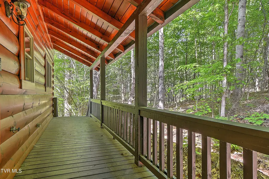 375 Lake Cabin Lane, Butler, TN 37640 - #2