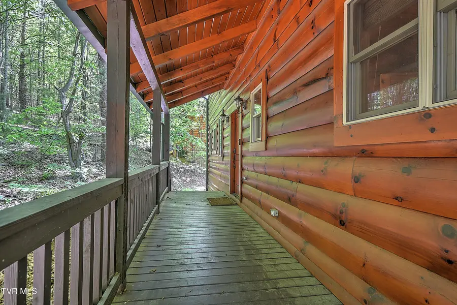 375 Lake Cabin Lane, Butler, TN 37640 - #3