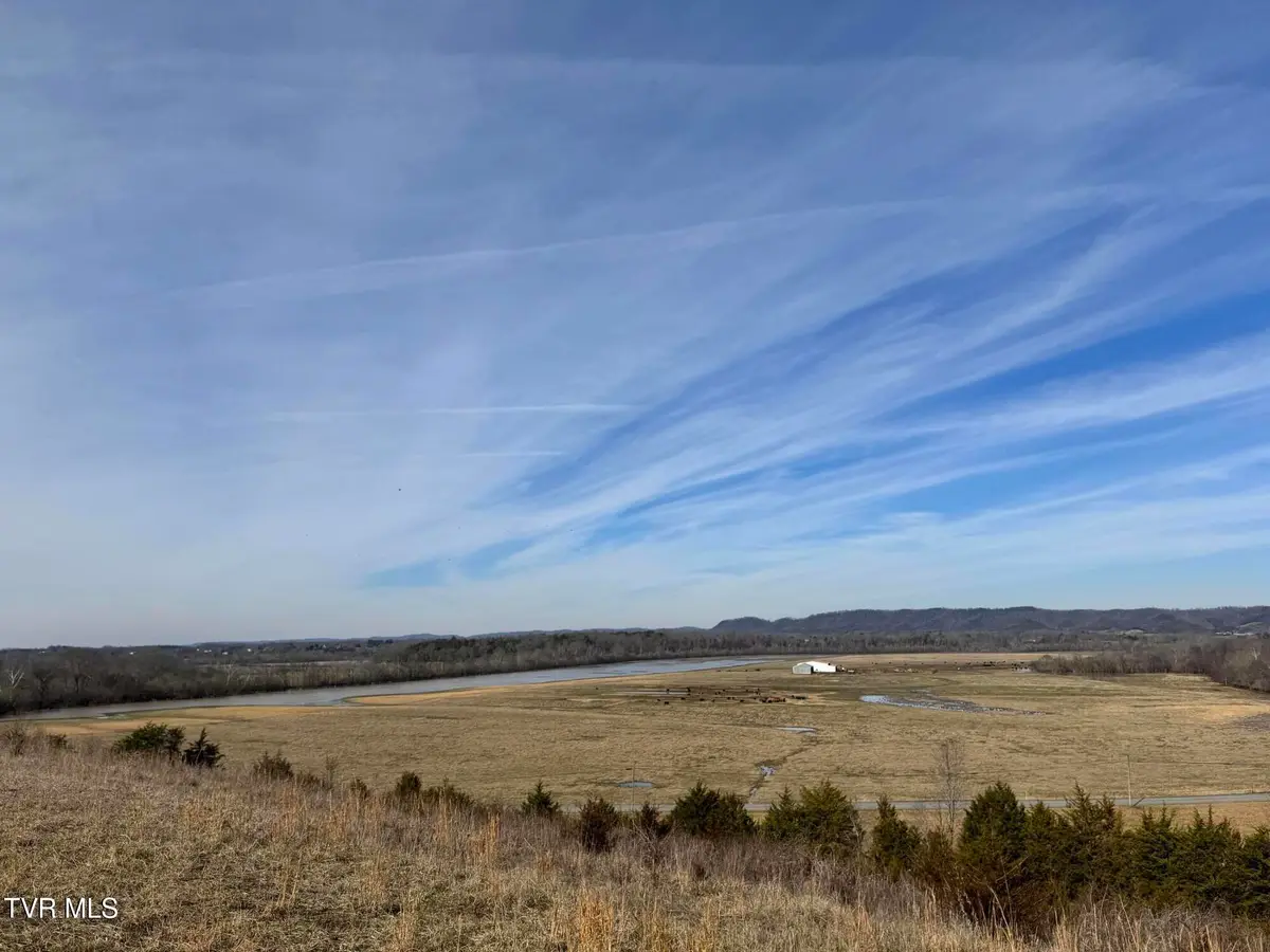 165 Wilkerson Road, Mosheim, TN 37818 - #1