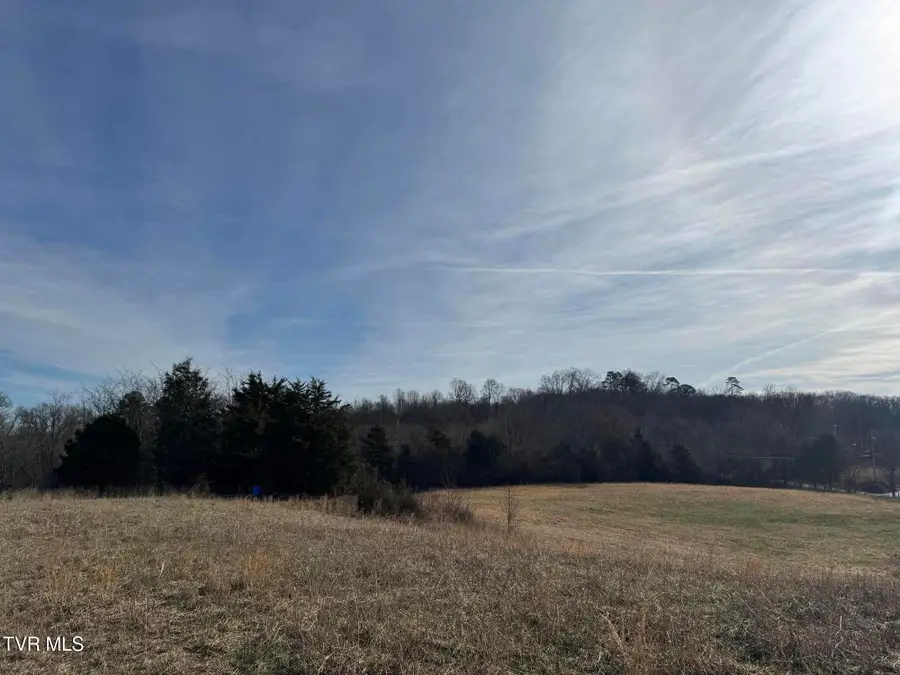 165 Wilkerson Road, Mosheim, TN 37818 - #3