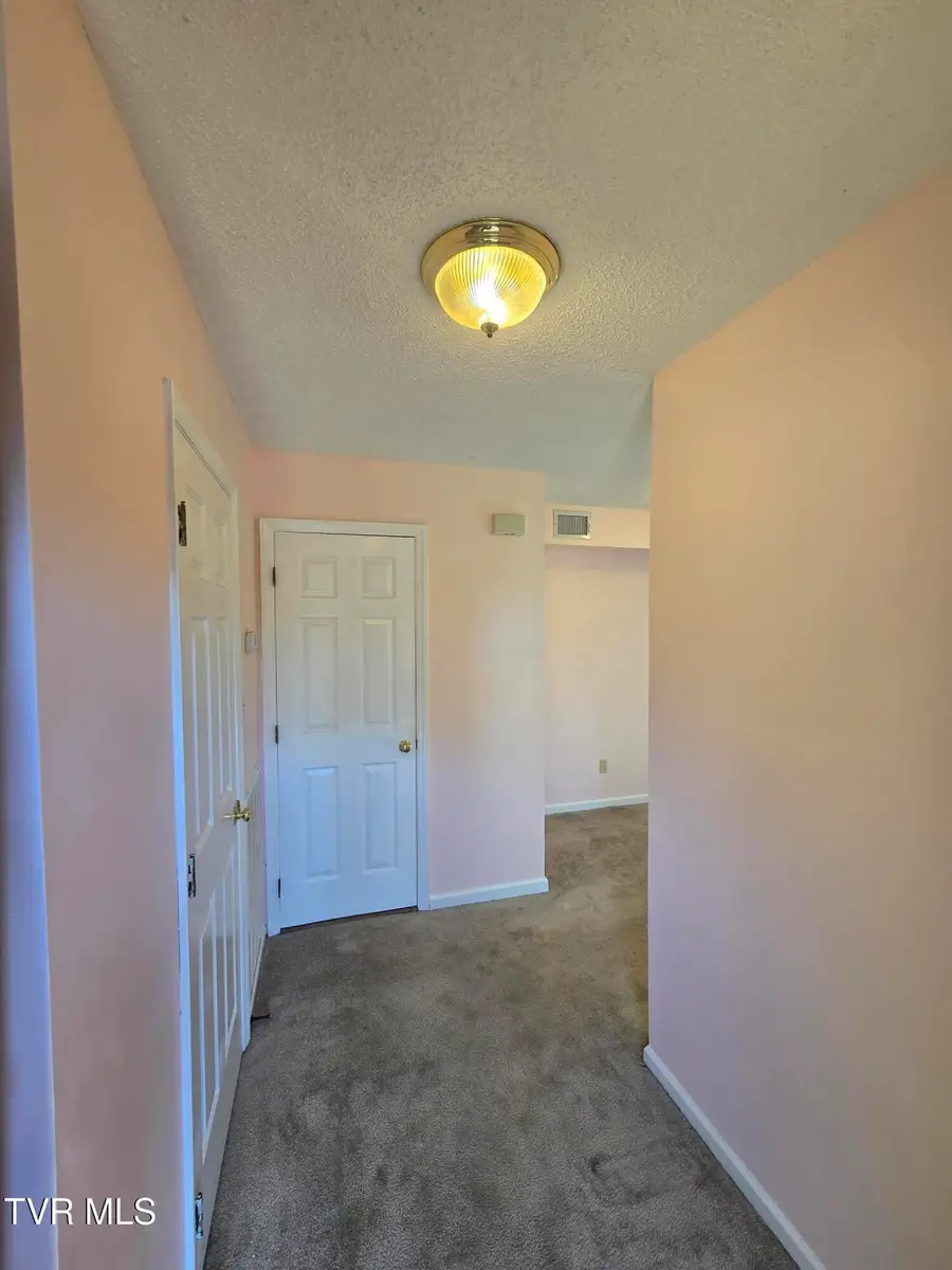 215 Windridge Colony #215, Johnson City, TN 37601 - #3