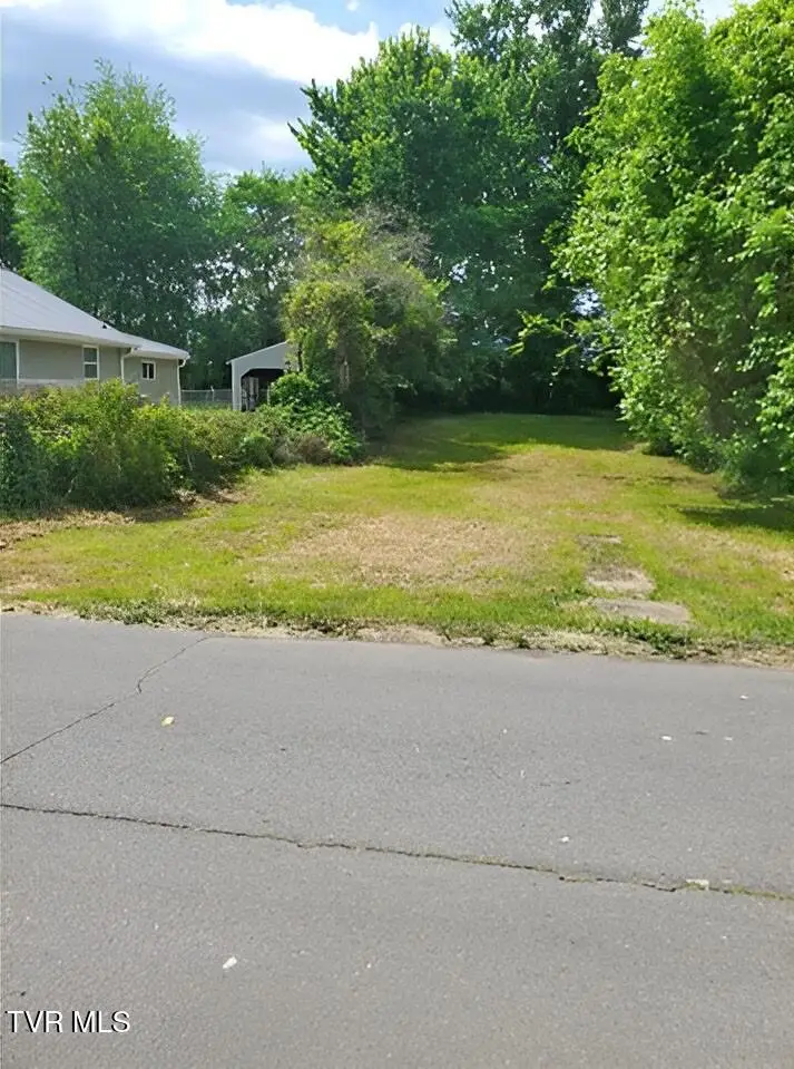 2509 Gray Street, Johnson City, TN 37604 - #1