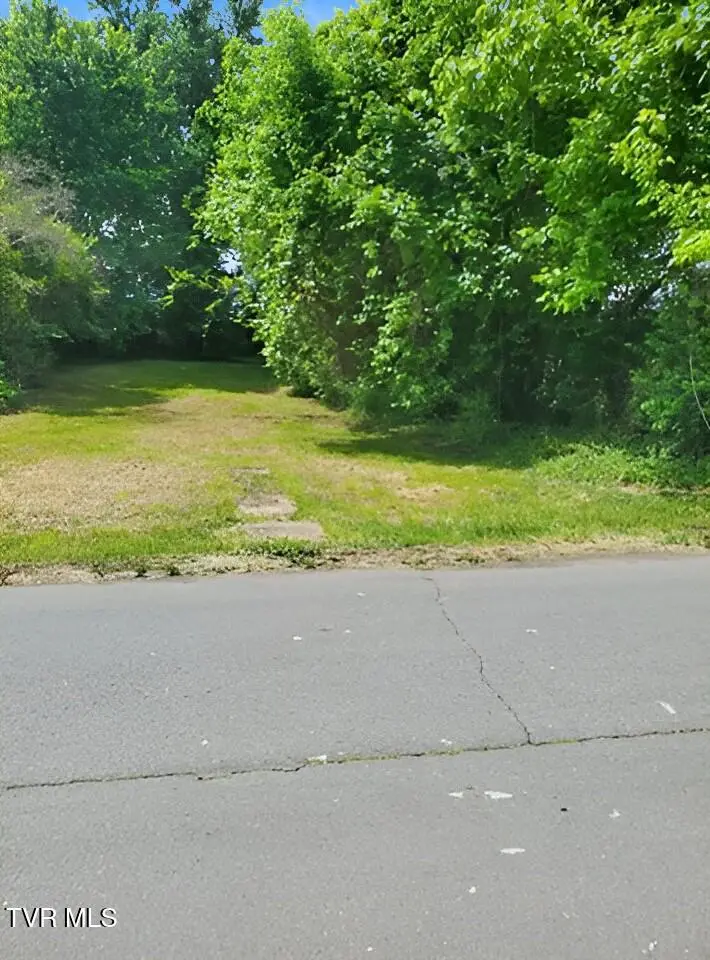 2509 Gray Street, Johnson City, TN 37604 - #2