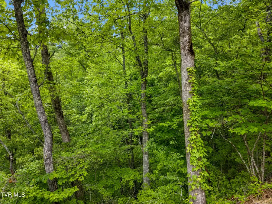 0 Red Bone Way, Sevierville, TN 37876 - #3