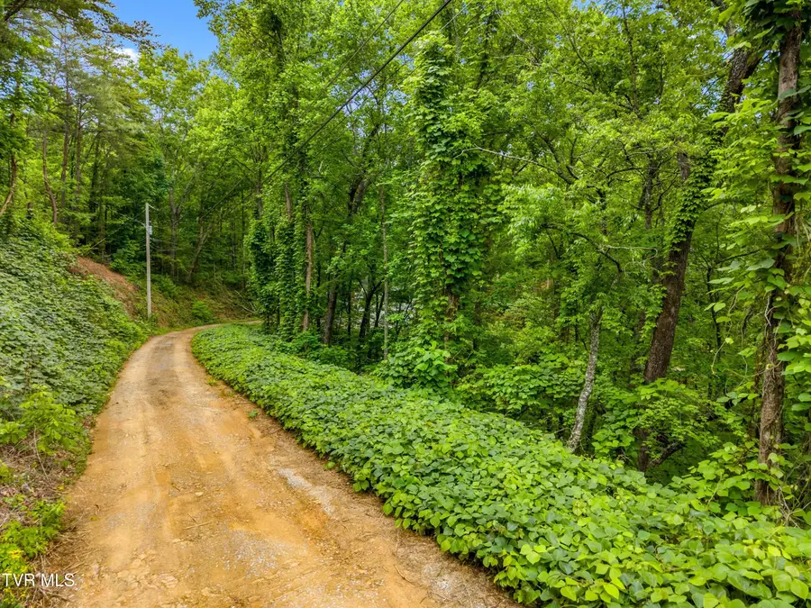 Lot 9ae Red Bone Way, Sevierville, TN 37876 - #2