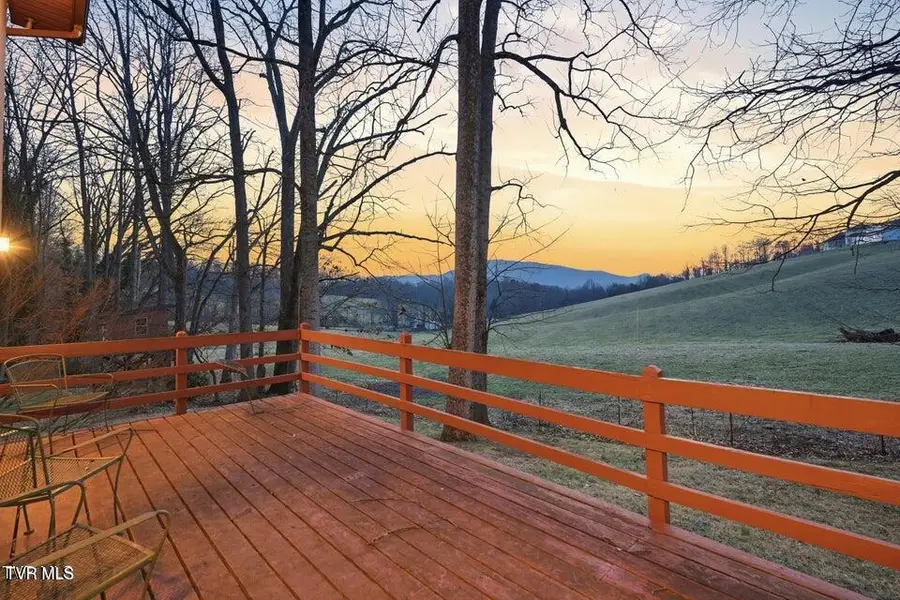 166 Heather Lane, Johnson City, TN 37601 - #2
