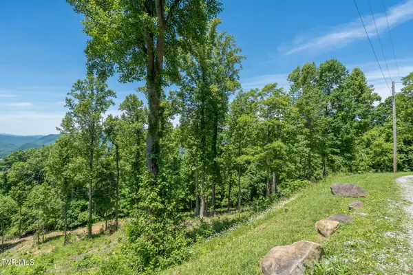 4 Ridgetop Lane #4, Unicoi, TN 37692