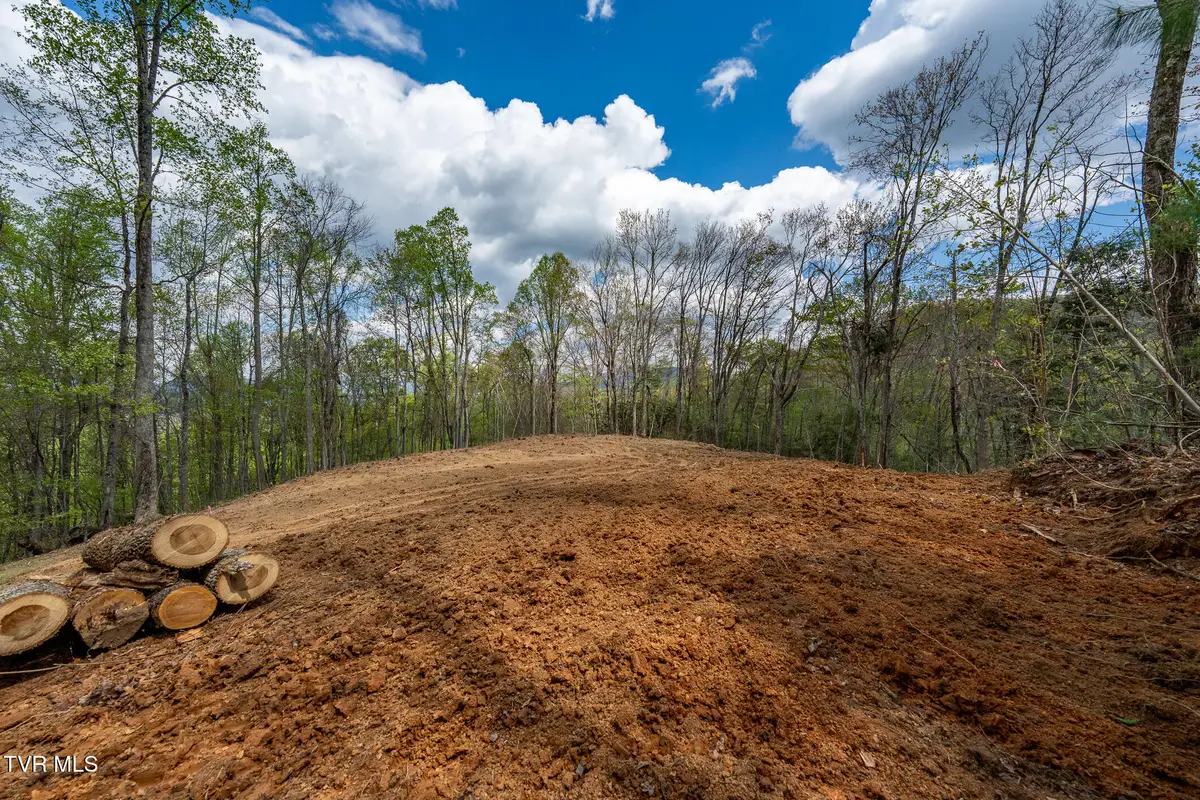 1 Ridge Top Lane #1, Unicoi, TN 37692 - #1