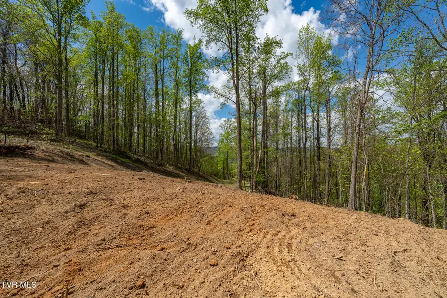 1 Ridge Top Lane #1, Unicoi, TN 37692 - #2