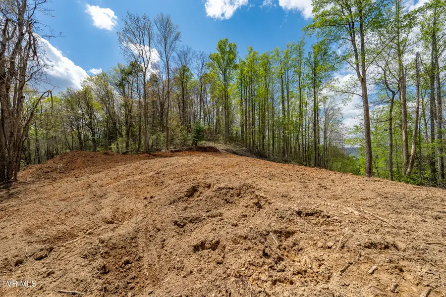 1 Ridge Top Lane #1, Unicoi, TN 37692 - #3