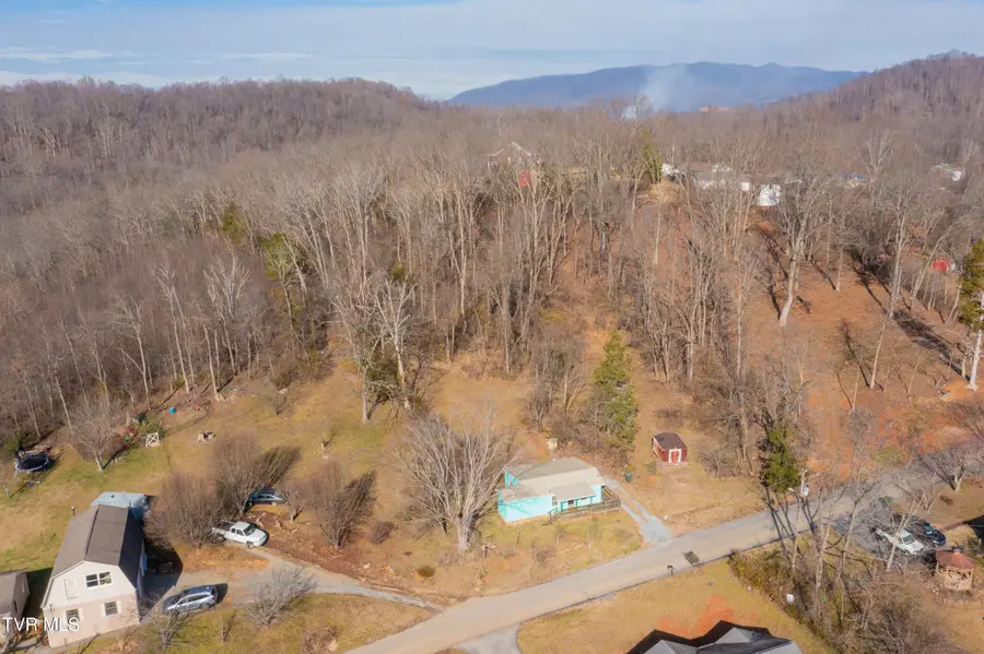 221 Old Siam Road, Elizabethton, TN 37643 - #3