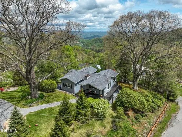 190 Roanwood Road, Roan Mountain, TN 37687