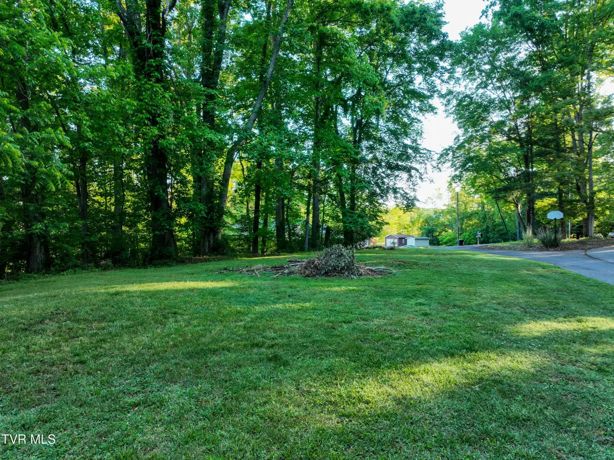 Tbd Kings Mountain Drive, Church Hill, TN 37642 - #1