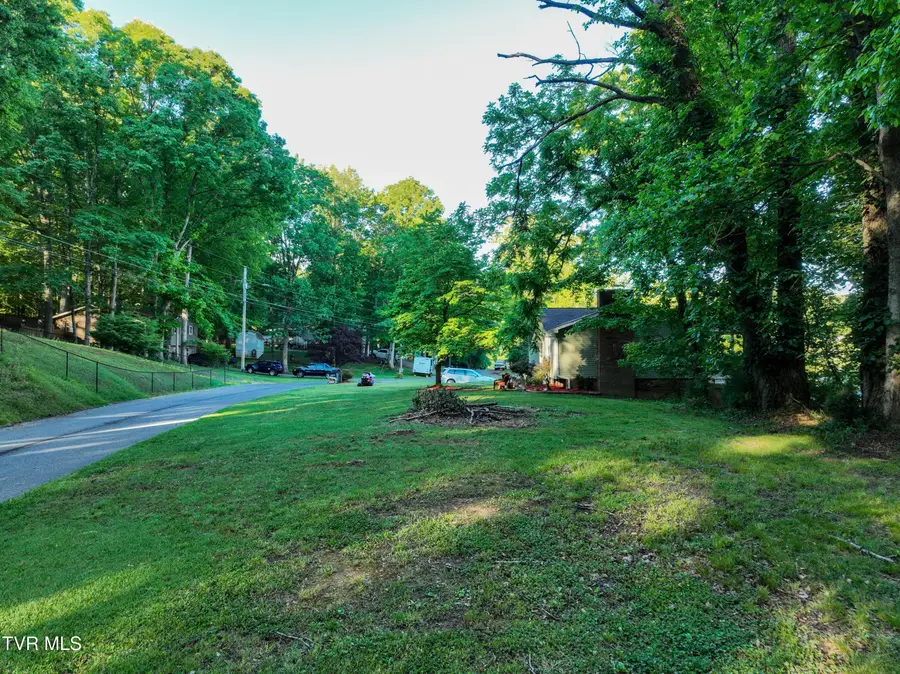 Tbd Kings Mountain Drive, Church Hill, TN 37642 - #2