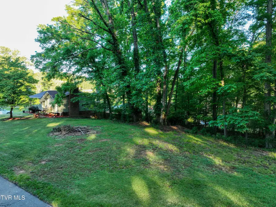 Tbd Kings Mountain Drive, Church Hill, TN 37642 - #3