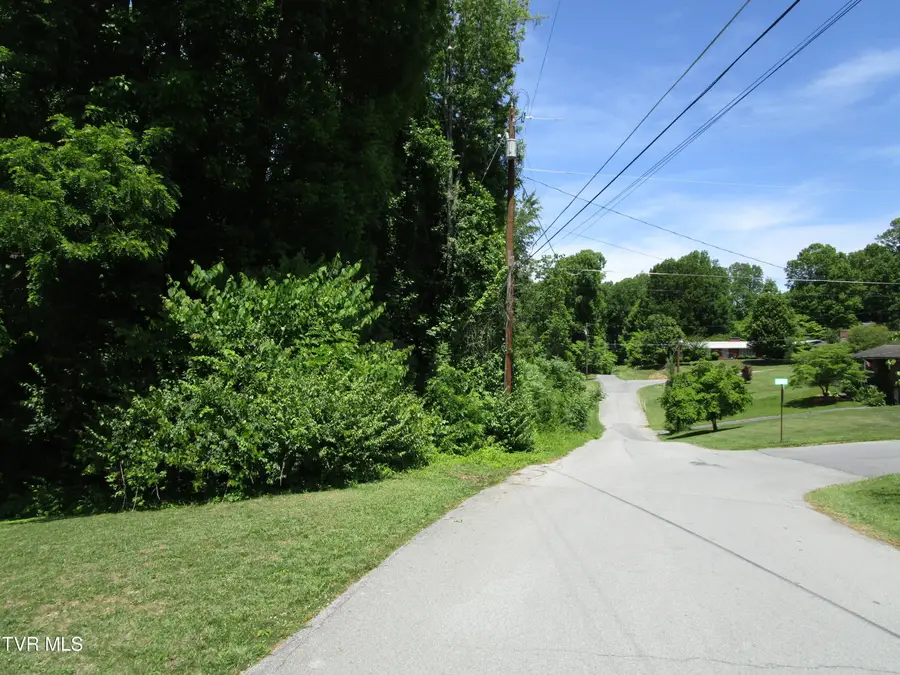 00 Shenandoah Drive, Johnson City, TN 37601 - #3