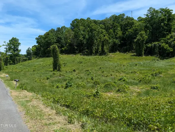 Tbd Tuggle Hill Road #114 015.001, Rogersville, TN 37857
