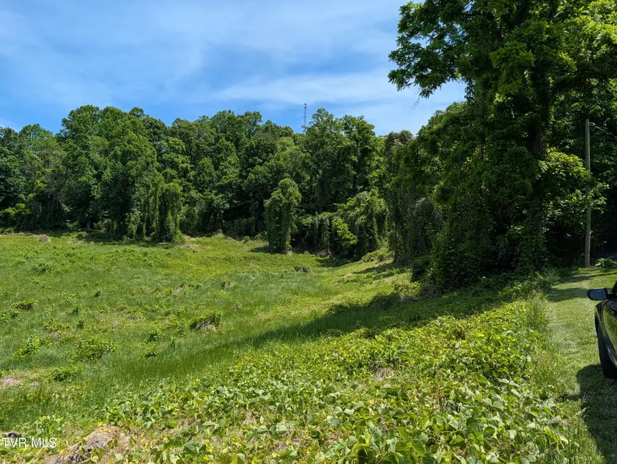 Tbd Tuggle Hill Road #114 015.001, Rogersville, TN 37857 - #2